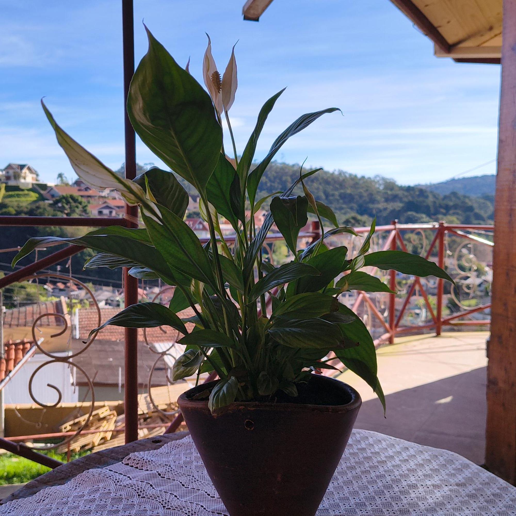 Suite Rustica Aconchego - Com Banheira De Hidromassagem Campos do Jordão Exterior photo